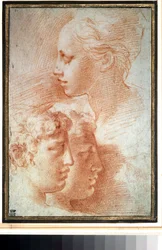 ""Estudio de las cabezas"" (Estudio de las cabezas). Perfil de cara de niña y niño. Dibujo de Girolamo Francesco Maria Mazzola o Mazzuoli llamado Parmigianino (El parmesano