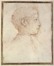 Cabeza de un niño