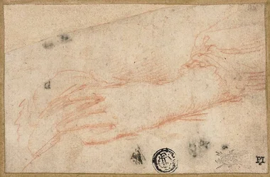 Croquis de la mano y la muñeca izquierdas