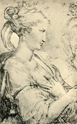 Estudio de Santa Catalina, c. 1530-1540, 1943