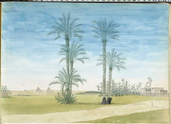 Egipto: "Pirámides de Gyze" (Guizeh, Guiseh, Giza) Dibujo de Pascal Coste (1787-1879) Museo de Arqueología Mediterránea, Marsella