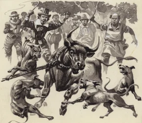 Bull baiting (gouache sobre papel)