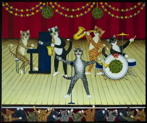 Banda para gatos