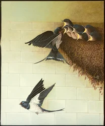 Bocas hambrientas, 2011 (acrílico sobre percal)