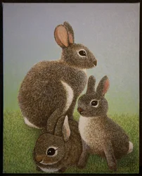 Familia Rabbit, 2016
