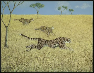 Pura velocidad