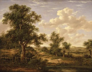 Brezales cerca de Godstone