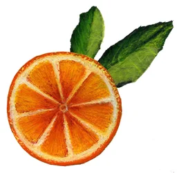 Fruit, 2021 (acrílico sobre papel)