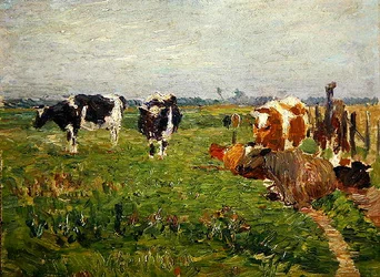 Paisaje de tierras bajas de verano con vacas