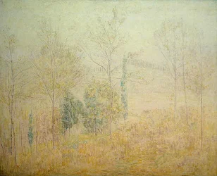 Paisaje toscano a principios de primavera con álamos verdes
