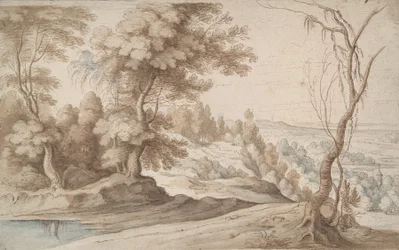 Paisaje con árboles y vista a un valle