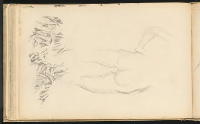 Un Desnudo y Follaje
