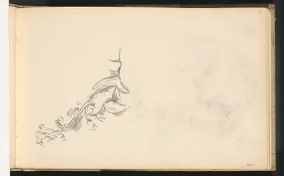 Rama en flor
