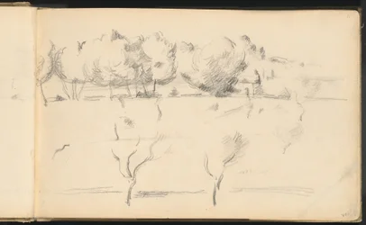 Paisaje con Árboles