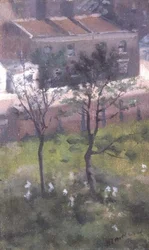 Edith Terrace, Chelsea