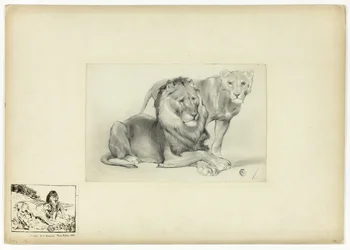 León y leona
