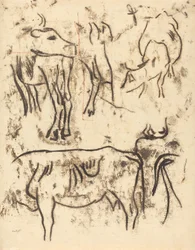 Estudios de animales
