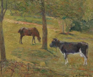 Francés: Vache et cheval dans un pré Vaca y caballo en un prado