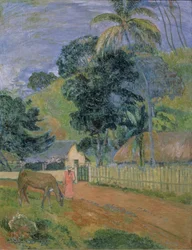 Paisaje