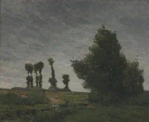 Paisaje con álamos (óleo sobre lienzo)