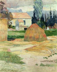 Paisaje cerca de Arles