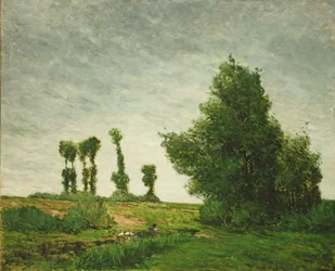 Paisaje con álamos