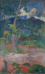 paisaje con un caballo