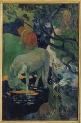 El caballo blanco