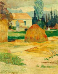 Mas d’Arles