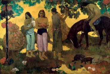 Rupe Rupe, recolección de fruta, 1899