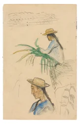 Bocetos de figuras, hoja de pandanus y planta de vainilla