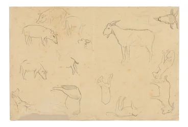 Bocetos de varios animales y cabeza (anverso), Bocetos de cabeza, figura de perfil, detalles anatómicos y animales (reverso)
