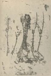 Estudio, 1936