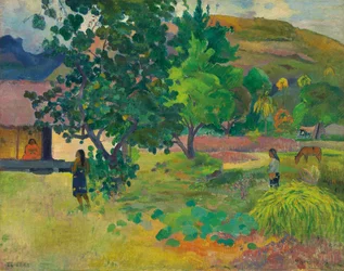 Te Fare (La casa)