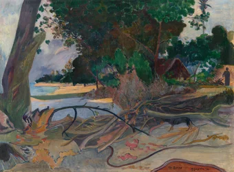Te burao (El árbol del hibisco)