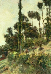 El Lado de la Colina, 1884