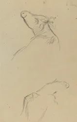 Dos cabezas de vaca