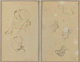 Dos Cabezas; Estudios de Ovejas