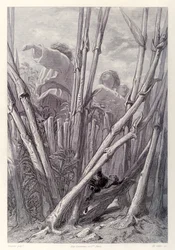 Gulliver ve a los trabajadores agrícolas tan altos como campanarios y se esconde en un campo de trigo, de la edición francesa de Los viajes de Gulliver de Jonathan Swift