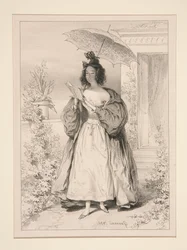 La novela