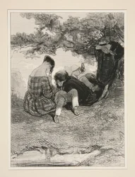 Un nido en un bosque
