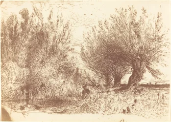 Orillas de un río
