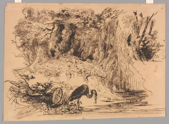 Piscina en el bosque con garza
