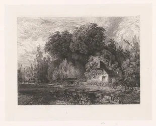Vista de una casa al borde de un bosque