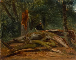 Im Wald von Villers-Cotterets