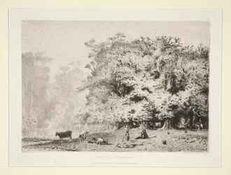 Bosques cerca de Fontainebleau