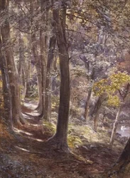 Un Claro en el Bosque