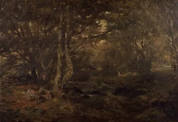 A través del Bosque, Pont-y-Gytyn, Gales del Norte