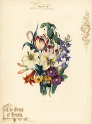 Ramo de lirios, tulipán, fucsia, lirio tigre.