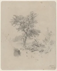 Paisaje con roble